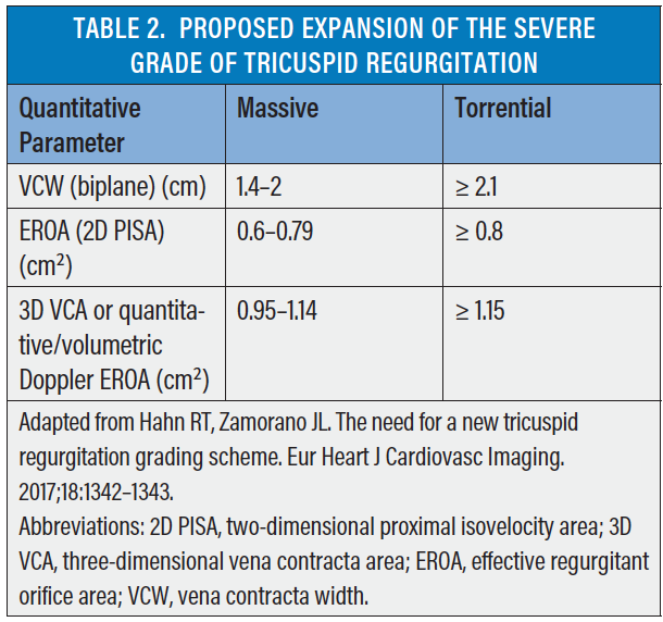 Echocardiography For Tricuspid Valve Intervention Cardiac