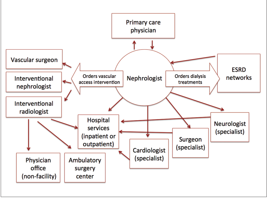 How Value Based Health Care Is Redefining ESRD Management And The 