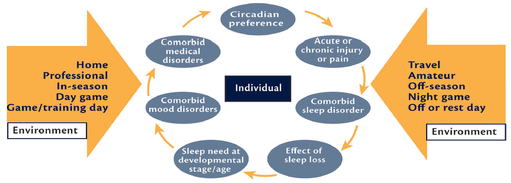 How to Maximize Sleep Quality and Recovery After Evening Games