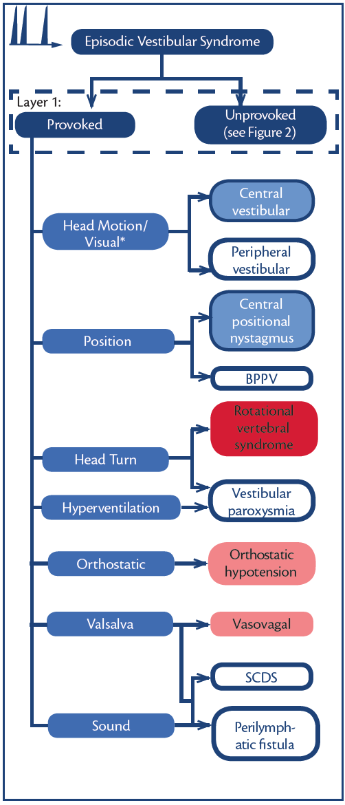 Dizziness And Vertigo Practical Neurology