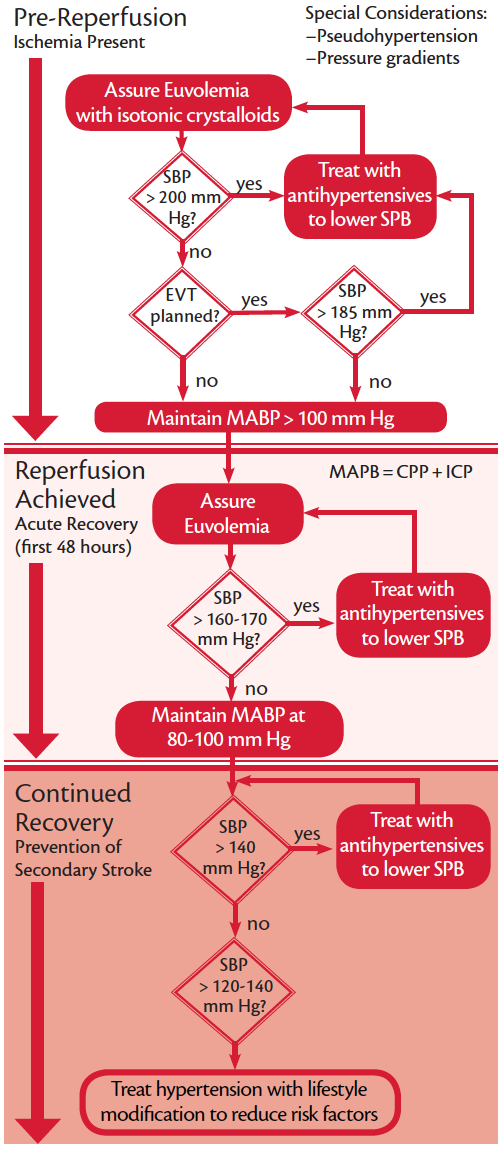 Stroke Snapshot Blood Pressure Management After Acute Ischemic Stroke Practical Neurology