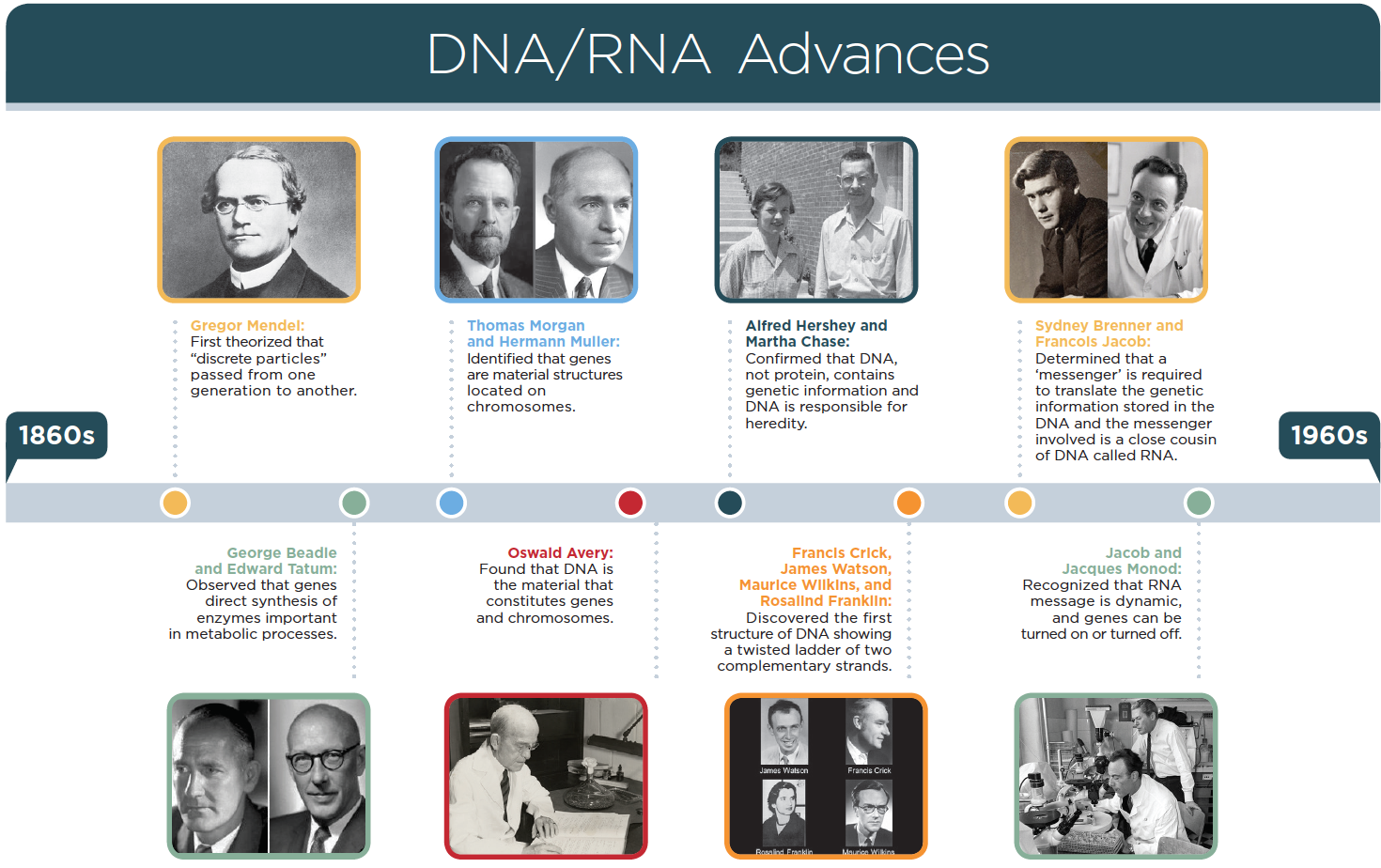 The RNA Blood Test for Multiple Sclerosis A New Tool for Early Disease