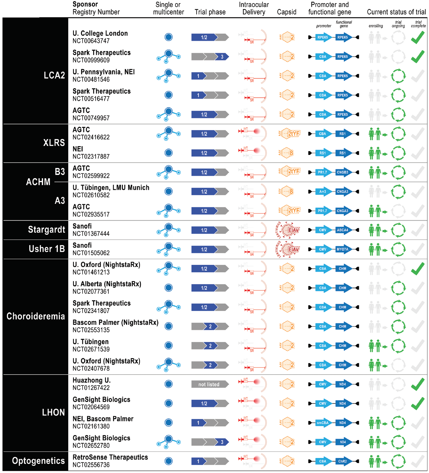 update-on-gene-therapy-for-the-treatment-of-hereditary-retinal-diseases